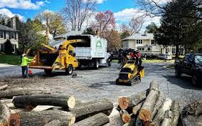 Leaf Removal in Redwater, TX